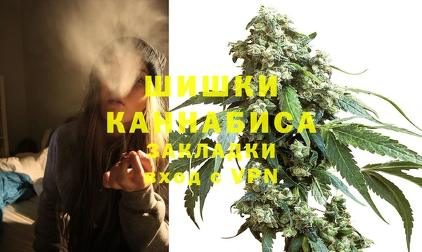прущая мука Богородск