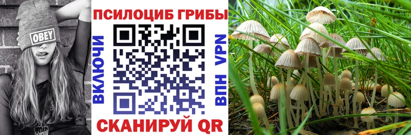 Галлюциногенные грибы GOLDEN TEACHER  Купить где  Котельники 